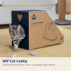 Bissell Little Green Pet Portable Carpet Cleaner - Image 3
